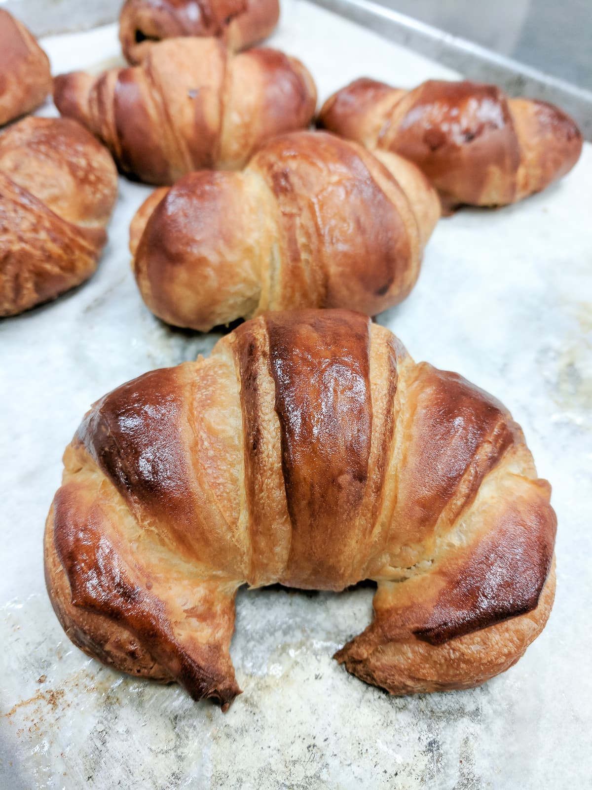 Croissants on a sheet tray 