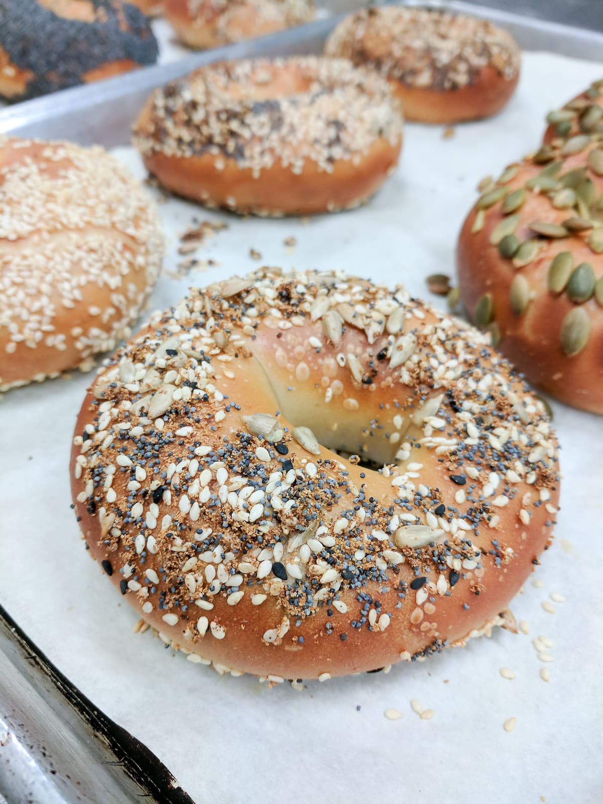 Tray of bagels