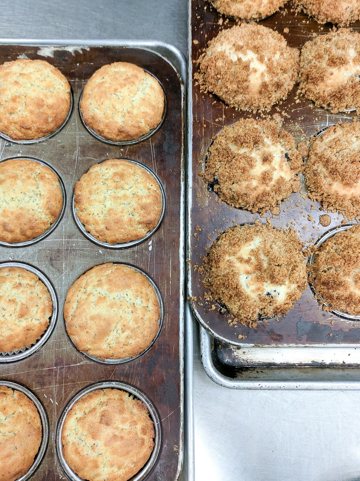 Lemon poppyseed muffins and blueberry muffins 