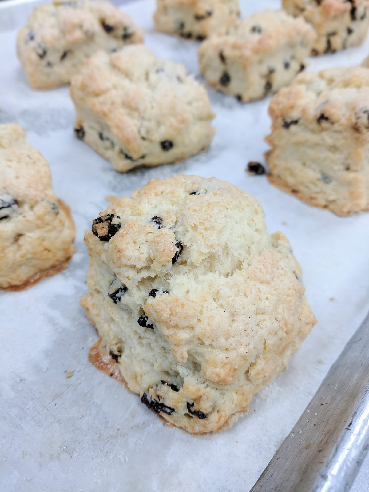 Scones on a sheet tray