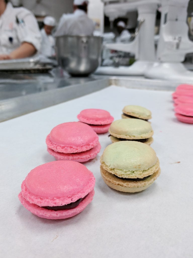 Pink and green macarons 