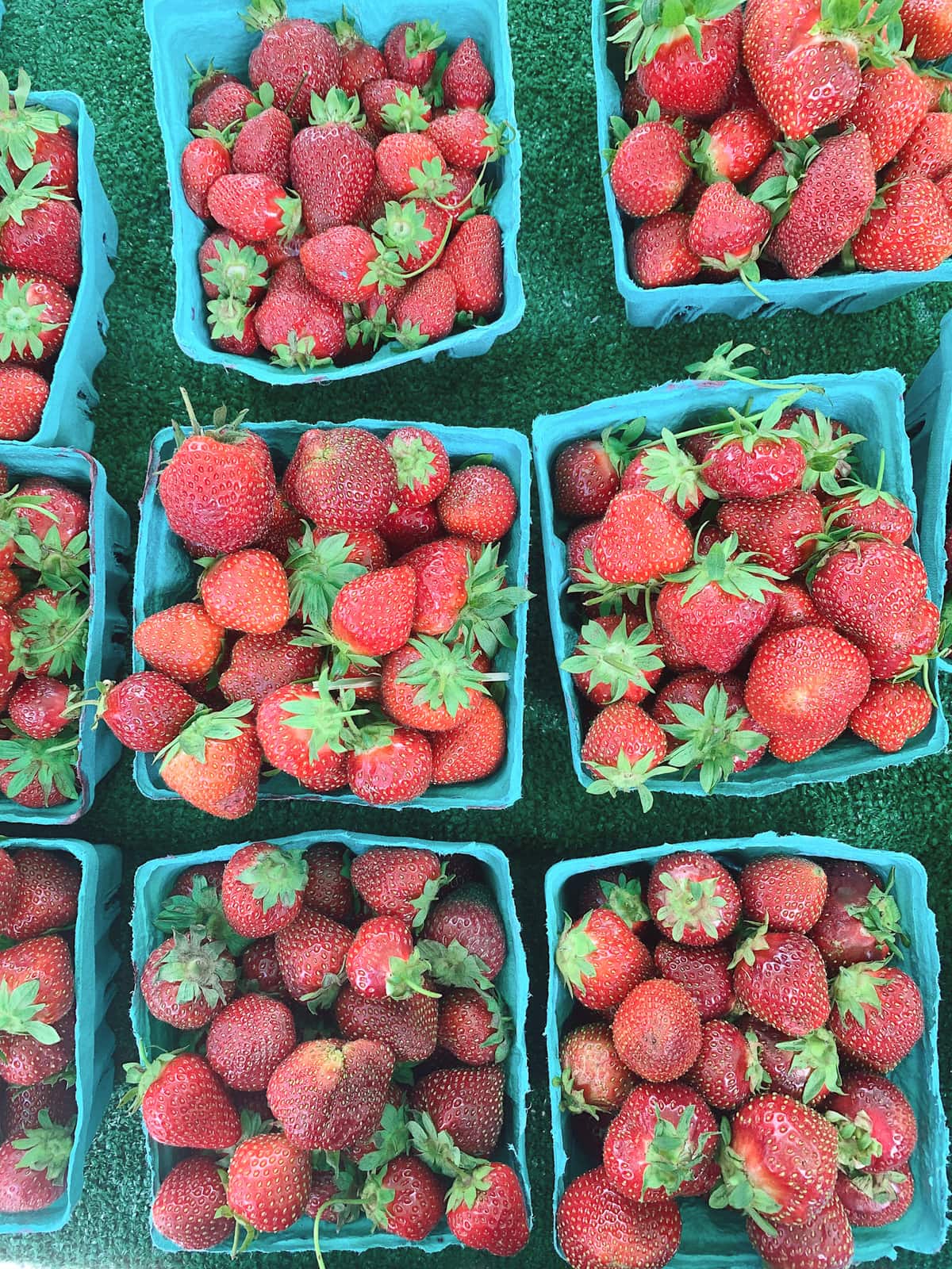 Strawberries at Union Square Greenmarket