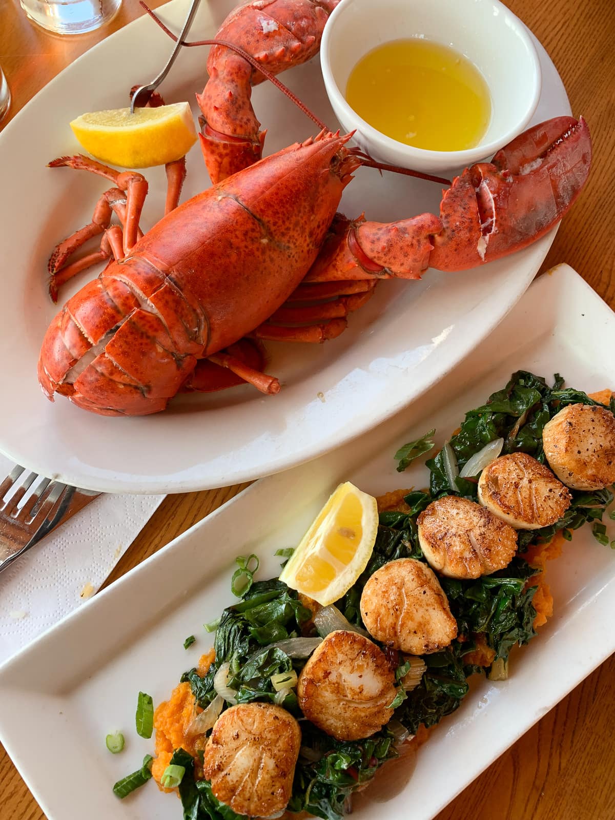 Overhead shot of lobster and scallops atop a bed of greens