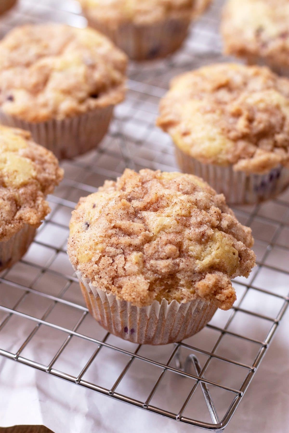Blackberry Streusel Muffins