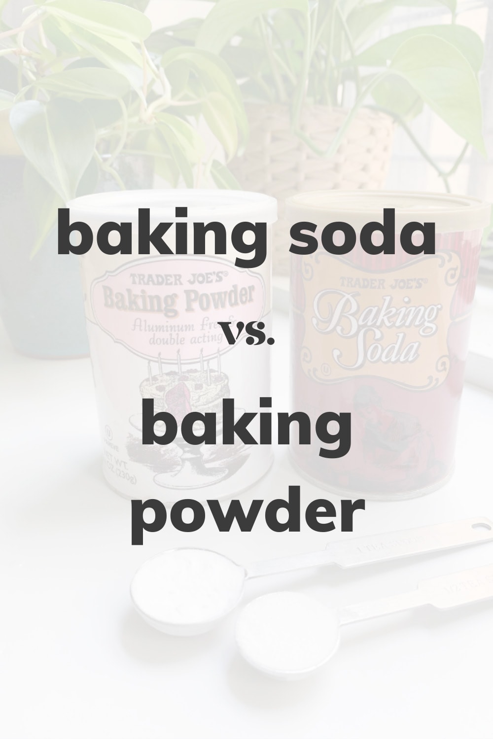 Baking Soda vs. Baking Powder The Baker's Almanac