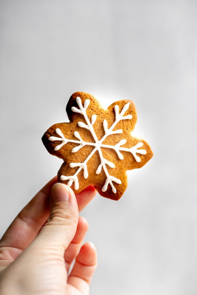 Hand holding a snowflake gingerbread cookie in the air