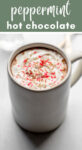 Mug of peppermint hot chocolate with text that reads 'Peppermint hot chocolate'