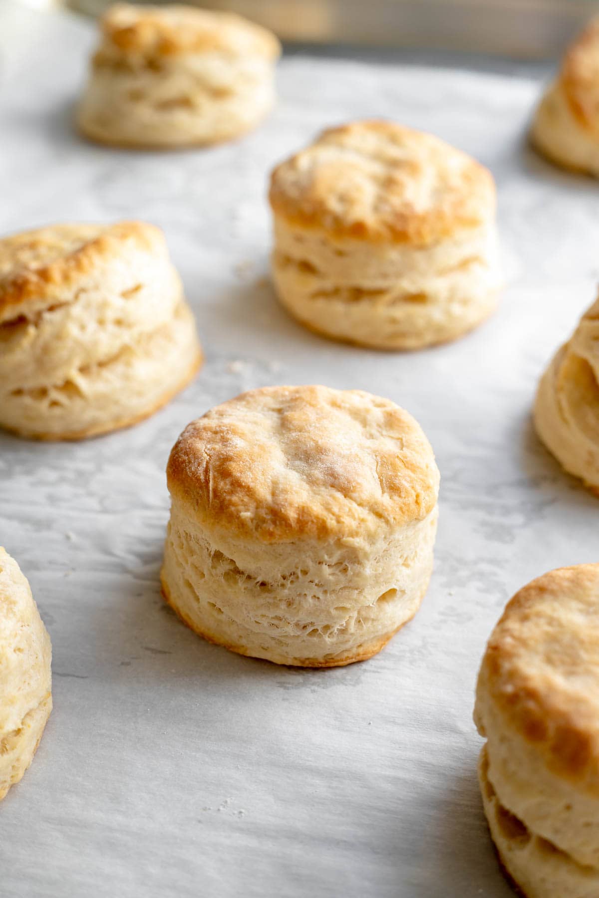 Buttermilk biscuits on a sheet tray lined with parchment paper